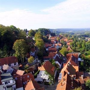 Teutoburgerwoudtocht is verplaatst van 28 juni naar 5 juli