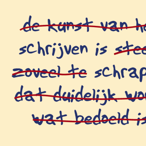 Gezocht: stukjesschrijvers!