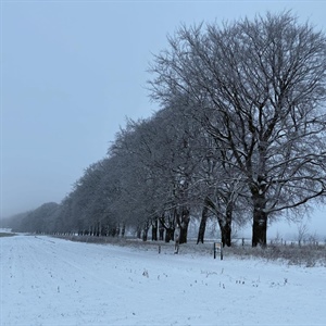 Trainingen woensdag 7 januari 2026
