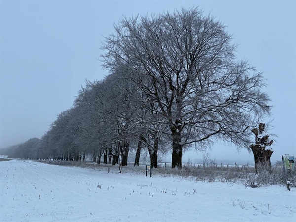 Trainingen woensdag 7 januari 2026