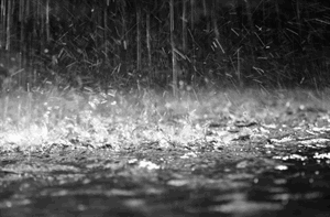 Pupillenskeelertraining 23-5 gaat niet door