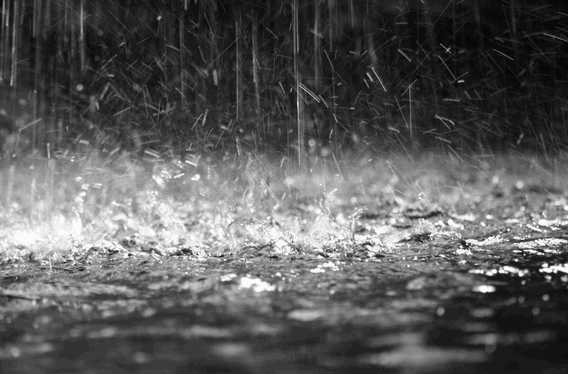 Pupillenskeelertraining 23-5 gaat niet door